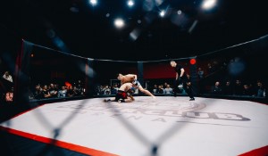 Dricus du Plessis: Reigning UFC Middleweight Champion's Meteoric Rise