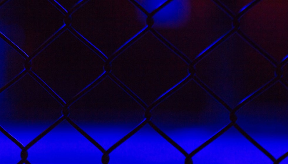 Edwards Retains UFC Title Amid Tactical Critique